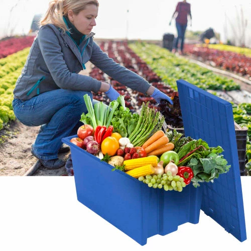 Buy ❤️ Global Industrial Stack and Nest Storage Container SNT230 No Lid 23-1/2 x 19-1/2 x 13, Blue - Pkg Qty 3 ⌛ 18 Buy ❤️ Global Industrial Stack and Nest Storage Container SNT230 No Lid 23-1/2 x 19-1/2 x 13, Blue - Pkg Qty 3 ⌛ - Image 18