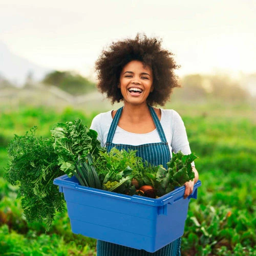 Brand new ⌛ Quantum Storage Systems Quantum Cross Stack Nest Tub TUB1711-12 - 17-1/4 x 11 x 12 Blue - Pkg Qty 6 😉 1 Brand new ⌛ Quantum Storage Systems Quantum Cross Stack Nest Tub TUB1711-12 - 17-1/4 x 11 x 12 Blue - Pkg Qty 6 😉