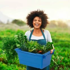 Cheap ๐ฏ Global Industrial Cross Stack Nest Tote Tub - 25-1/8 x 16 x 8-1/2 Blue - Pkg Qty 6 ๐ 31 Cheap ๐ฏ Global Industrial Cross Stack Nest Tote Tub - 25-1/8 x 16 x 8-1/2 Blue - Pkg Qty 6 ๐ -Containers shop 603118BLC 18