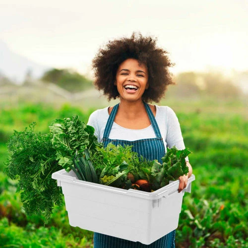 Best reviews of ๐ Quantum Storage Systems Quantum Cross Stack Nest Tub TUB2417-12 - 23-3/4 x 17-1/4 x 12 White - Pkg Qty 6 ๐ 1 Best reviews of ๐ Quantum Storage Systems Quantum Cross Stack Nest Tub TUB2417-12 - 23-3/4 x 17-1/4 x 12 White - Pkg Qty 6 ๐