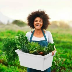 Wholesale 😀 Quantum Storage Systems Quantum Cross Stack Nest Tub TUB2417-8 - 23-3/4 x 17-1/4 x 8 White - Pkg Qty 6 🥰